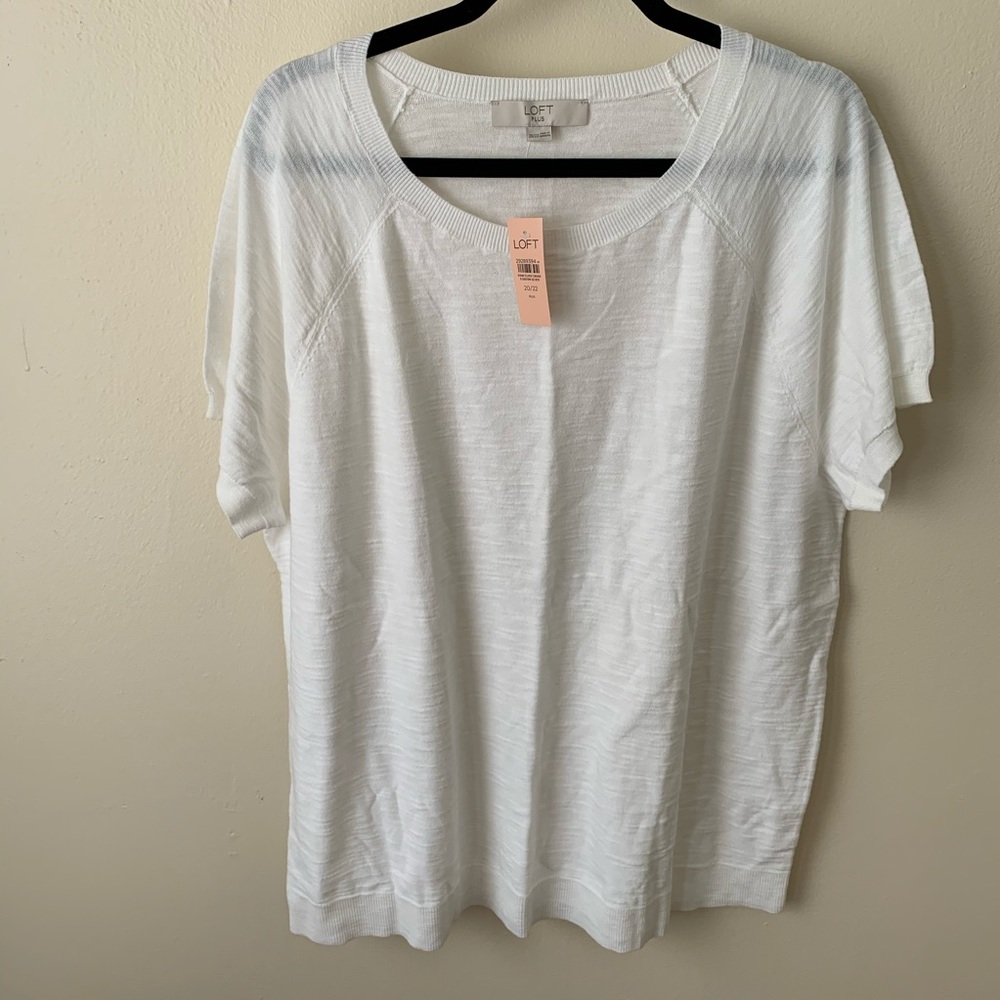 Loft Plus Sweater Tee With Cuffed Sleeve